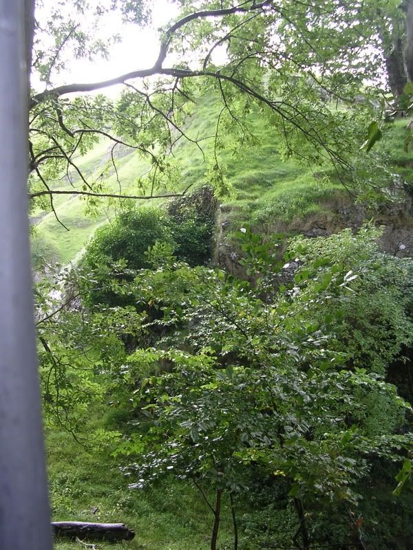 DSCN1496.jpg