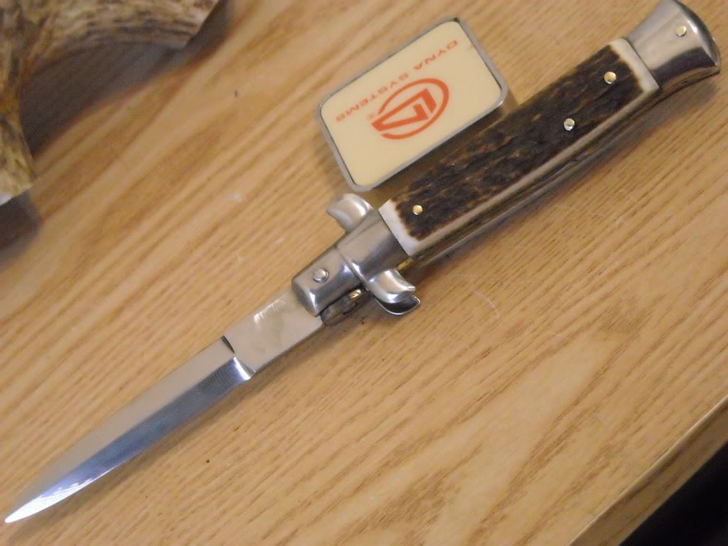 DSCN3133.jpg