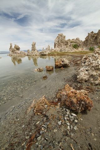 IMG_2827.jpg