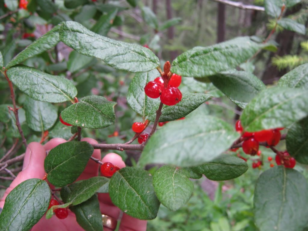 July032010023.jpg