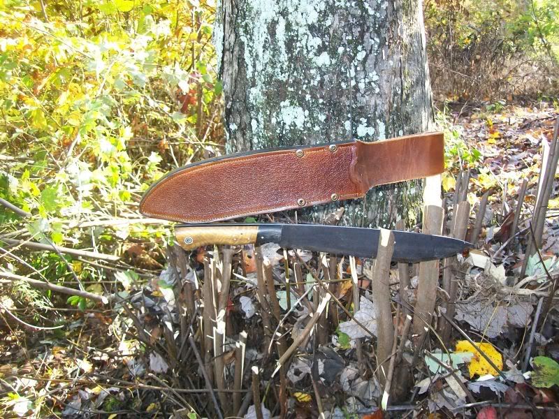 Fiddlebackforge004-1.jpg
