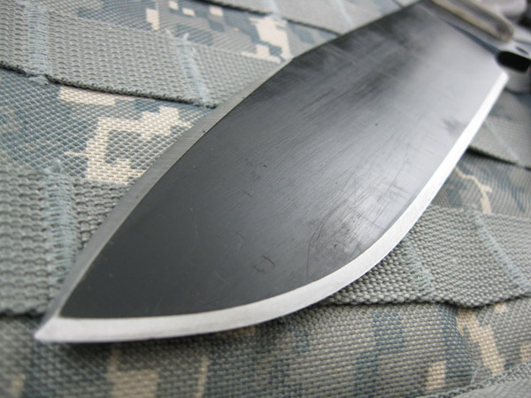 Busse_SHSHII_009.jpg