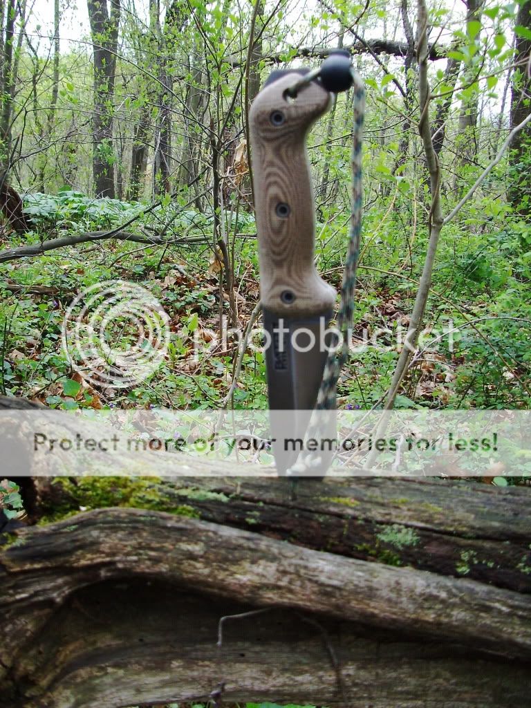 PICT0754.jpg