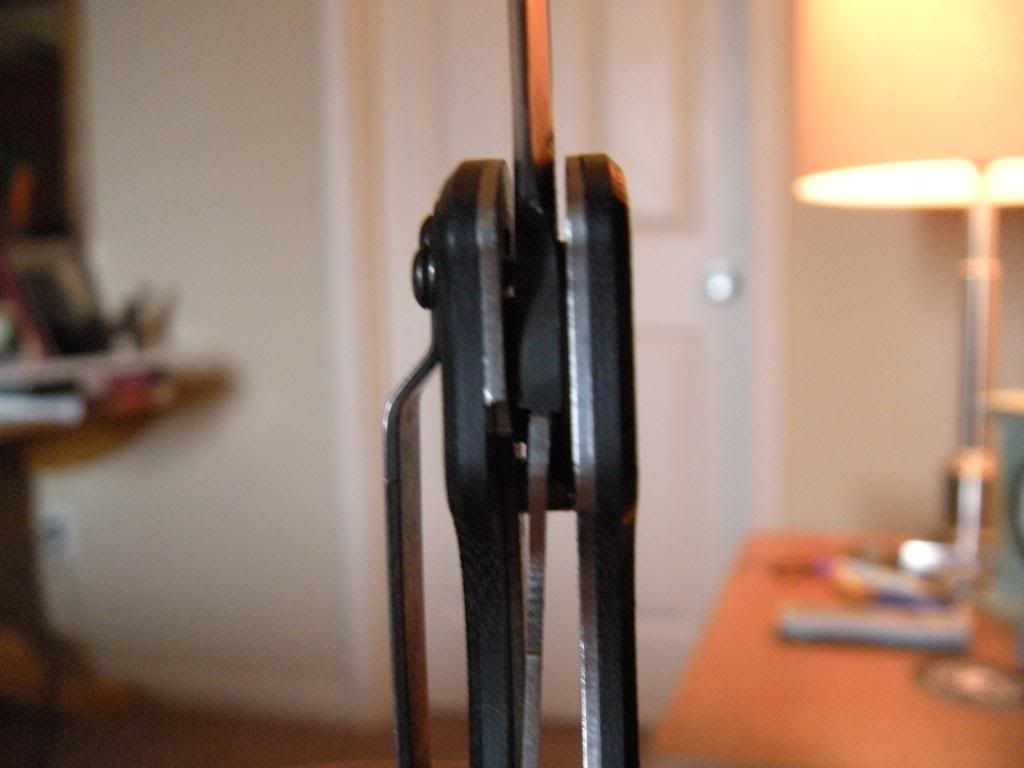 DSCN0311.jpg