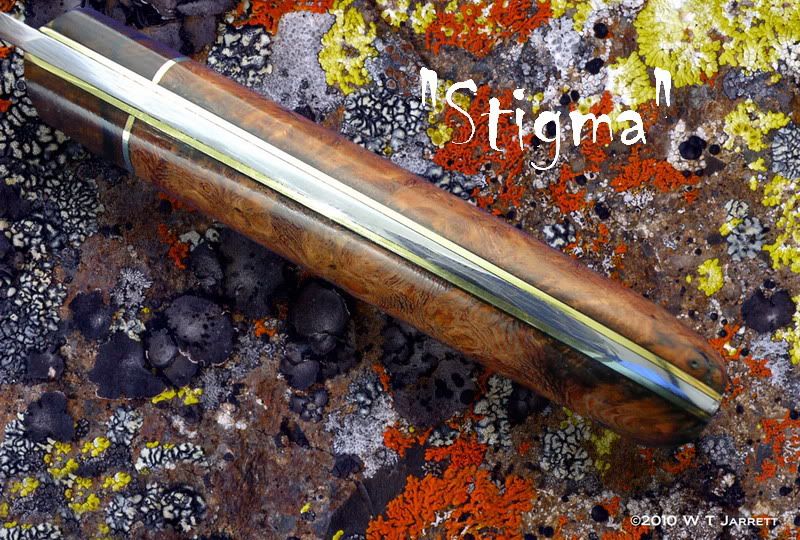 Stigma-Spine-on-Multicolor-Lichen80.jpg