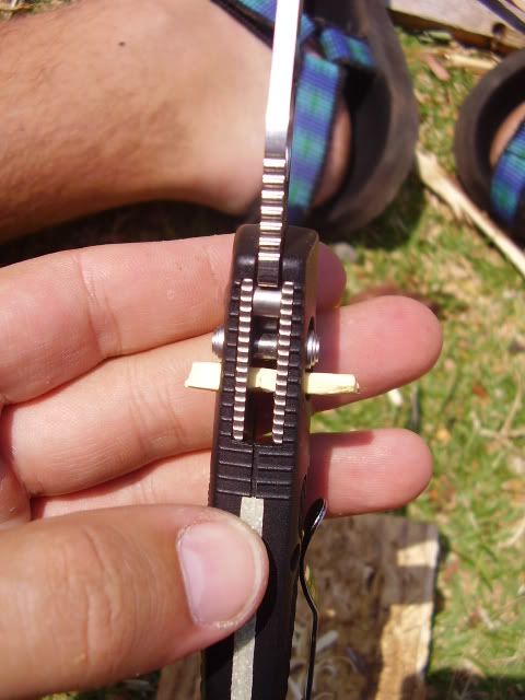 P9040020.jpg