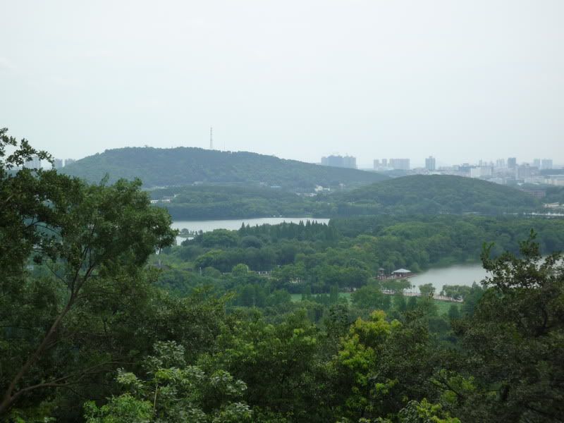 P1080046.jpg
