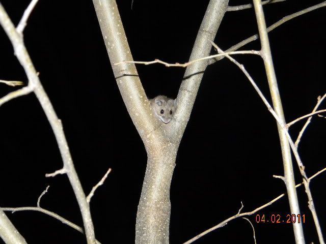 DSCN3552.jpg