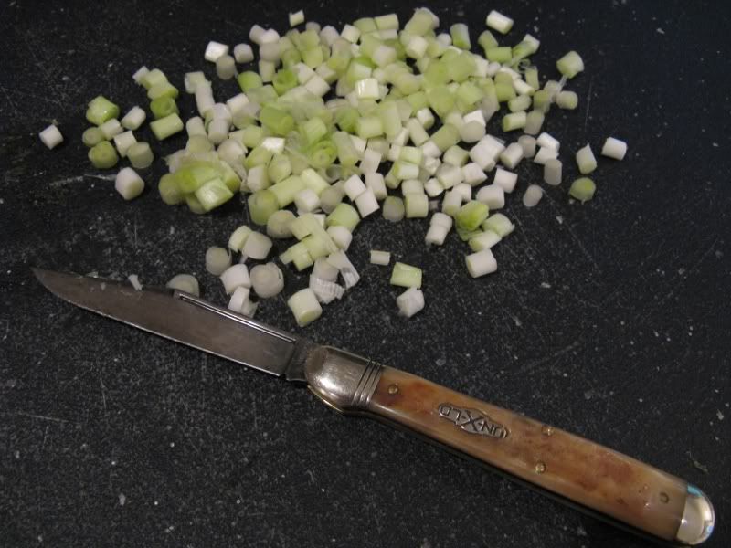 BenHogangreenonionslicer.jpg
