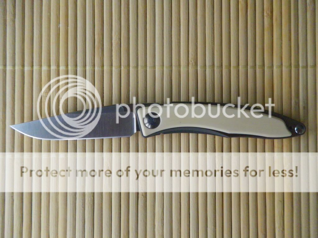 IMGP0604.jpg