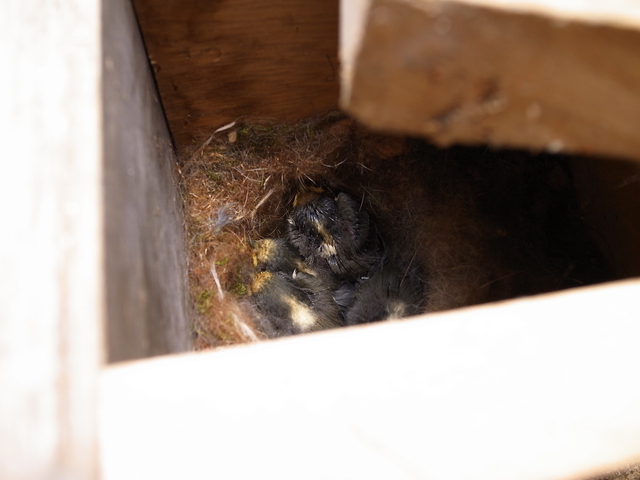 2012.05.01.R0012334.JPG