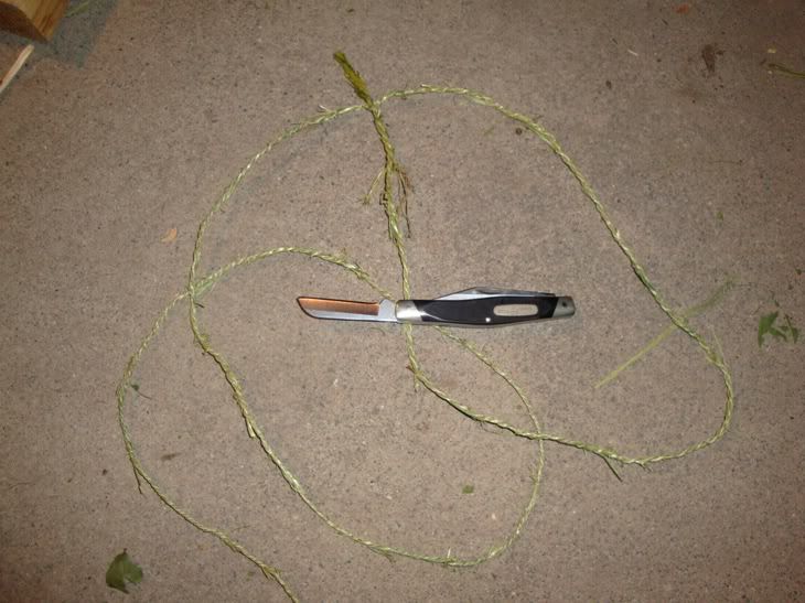 cord07.jpg