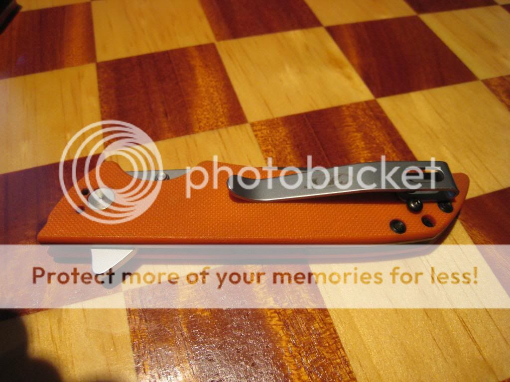 IMG_1081_zps784e65e4.jpg