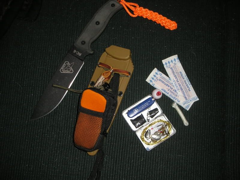 PB200095.jpg
