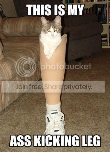 this-is-my-ass-kicking-leg.jpg