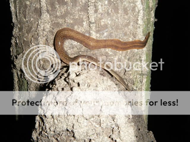 DSCF1694.jpg