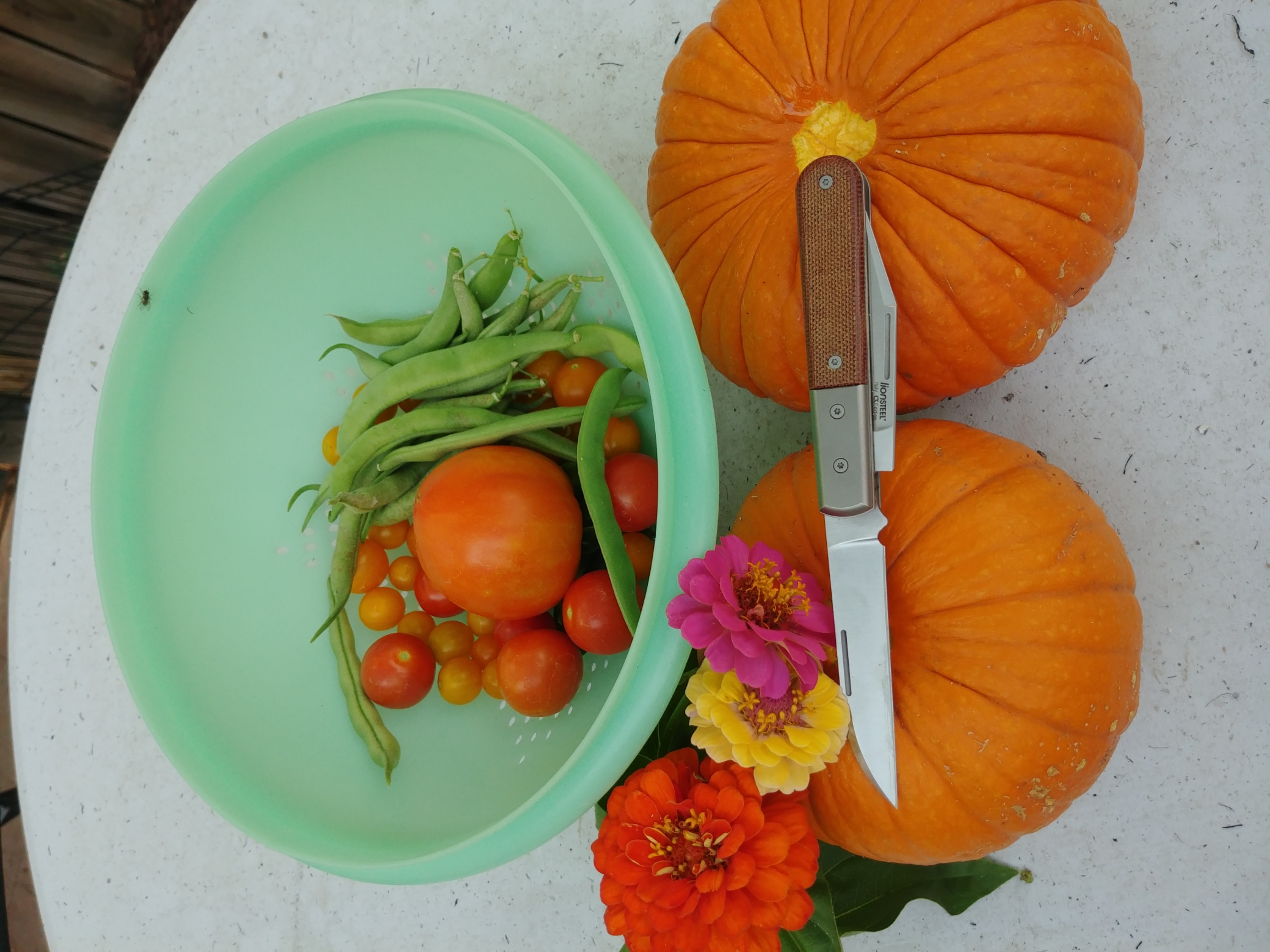 Harvest_Barlow.jpg