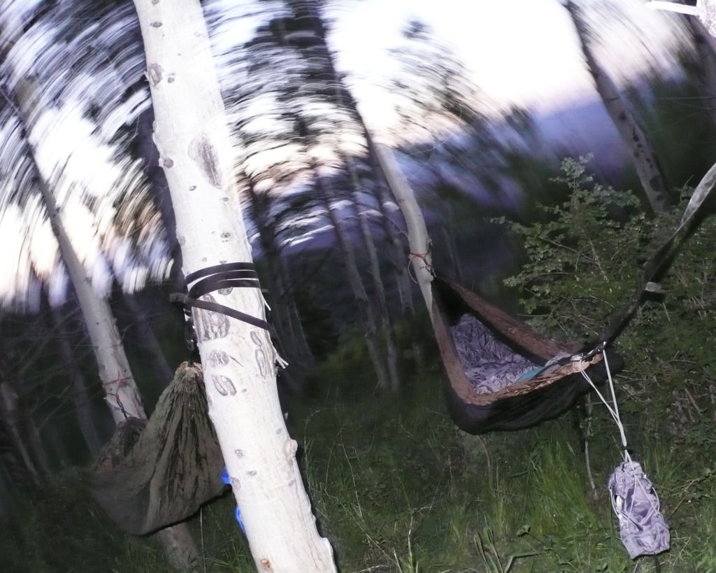 L1040153Hammockstrange.jpg