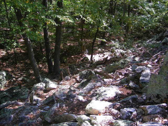 camping051.jpg