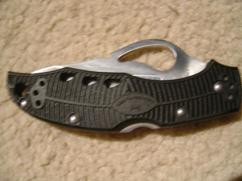meadowlarks.jpg