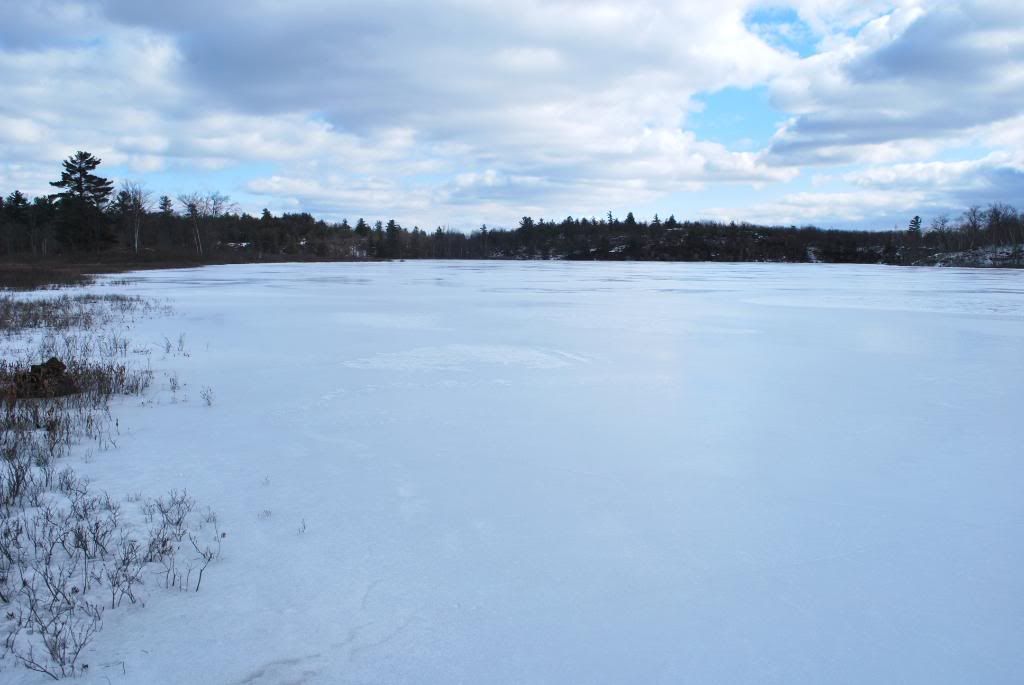 DSC_0005-15.jpg