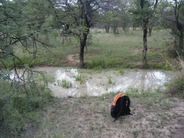 DSCF2078.jpg