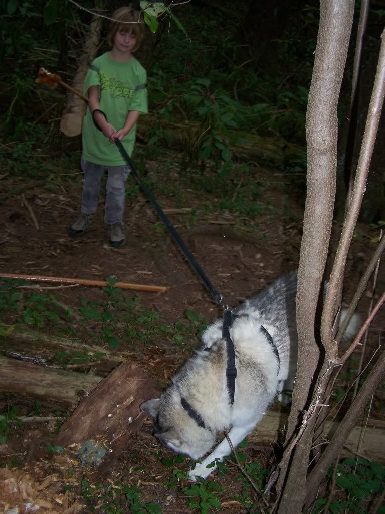 100_5787.jpg
