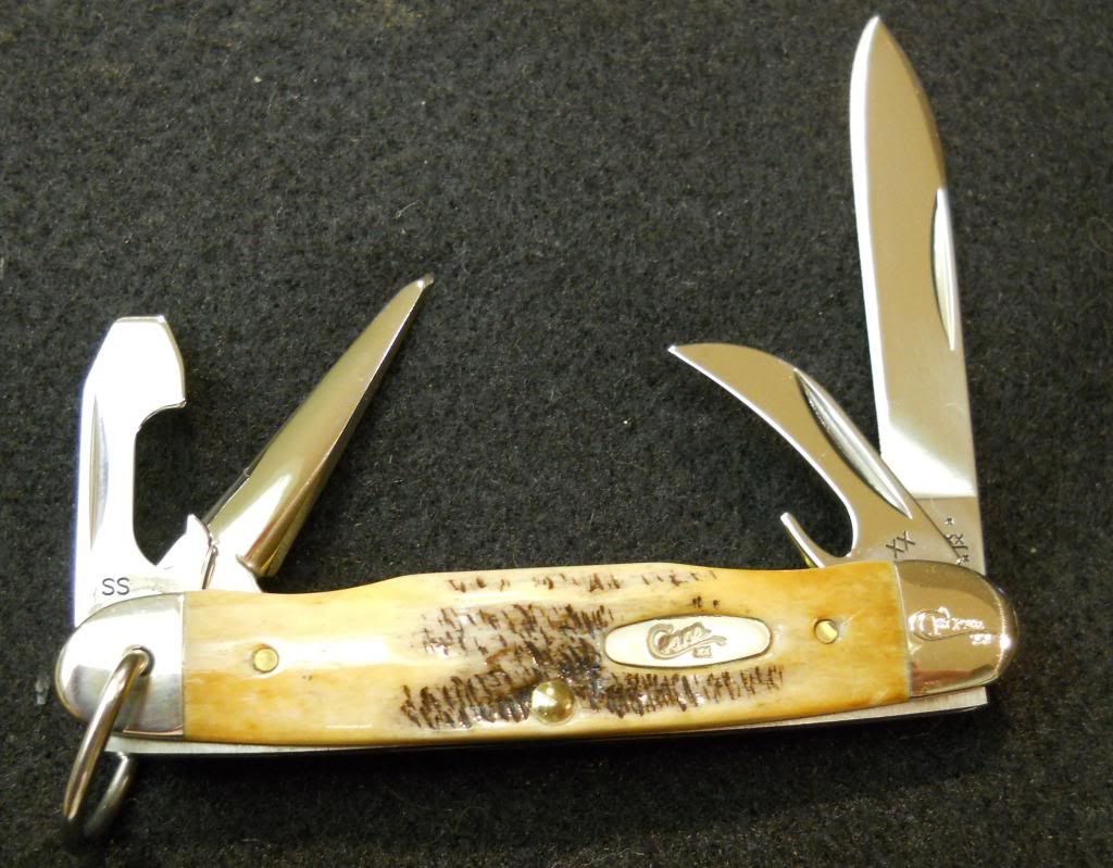 BoneStag_zps9b5a291b.jpg