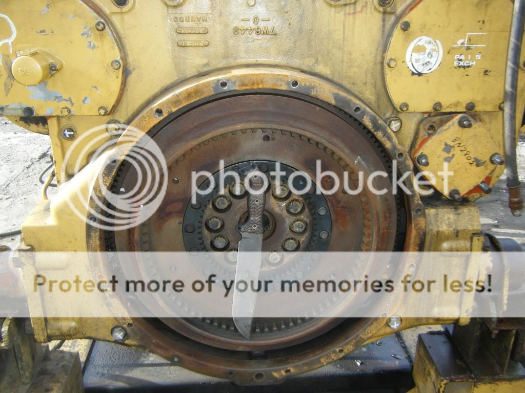 DSCF9355.jpg
