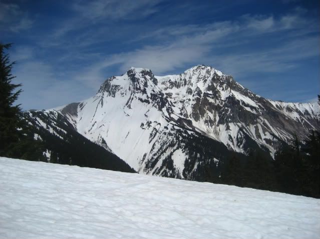 IMG_2205.jpg