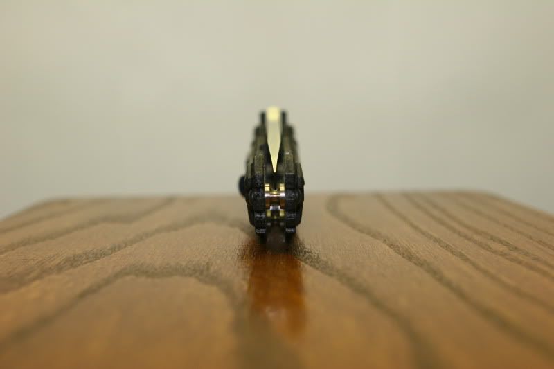 IMG_0800.jpg