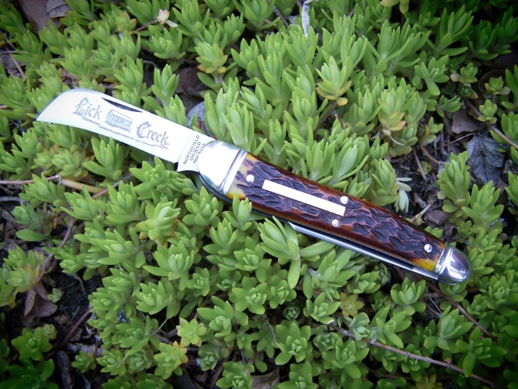 GEC38_LC_01.jpg