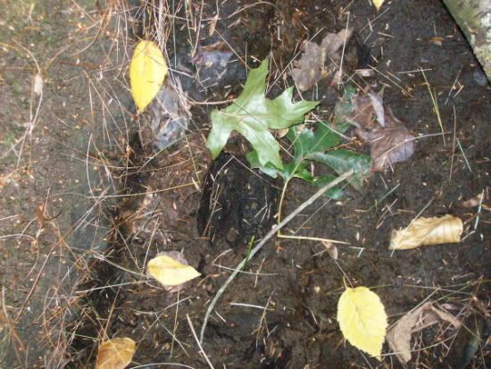 100_1202.jpg