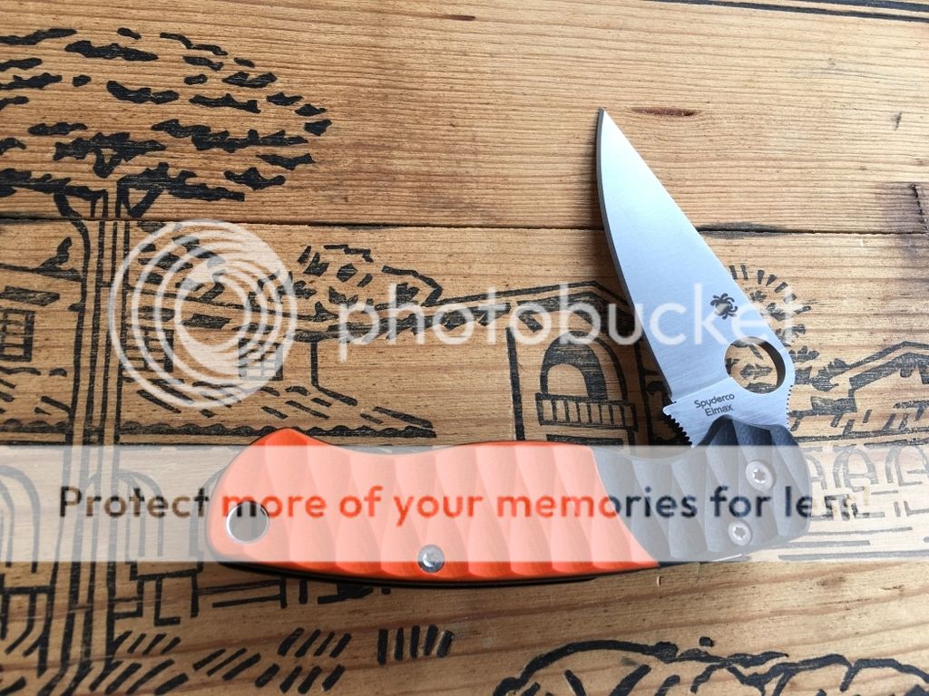 PM2%201.jpg