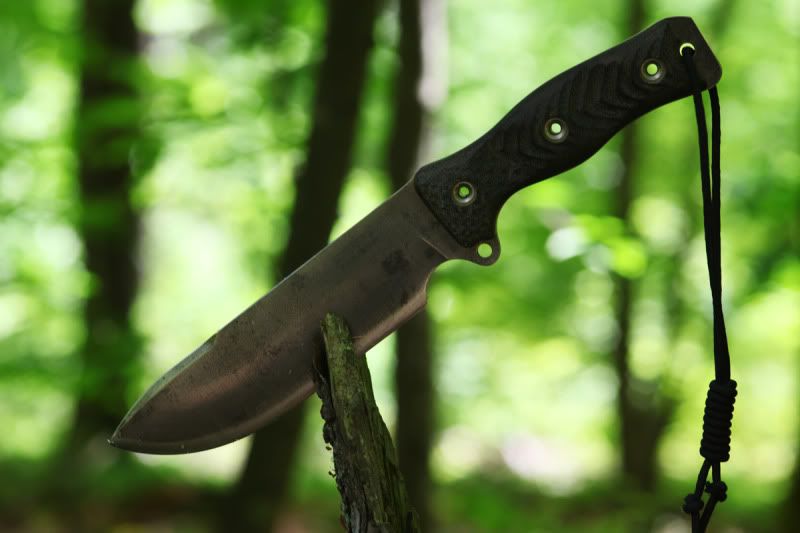 01SARSquatch_2872.jpg