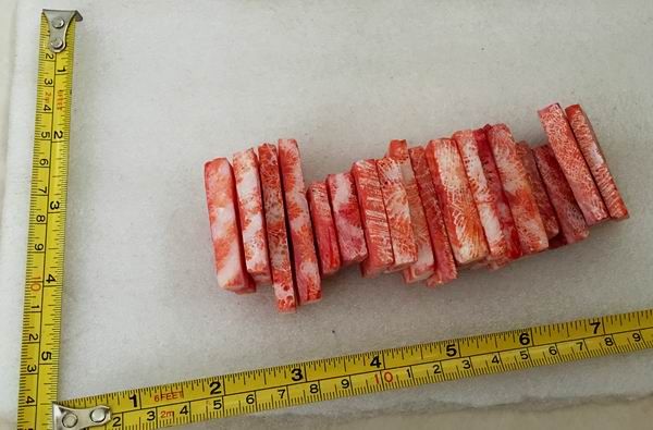 CORAL%202_zpsu4ag5ky9.jpg
