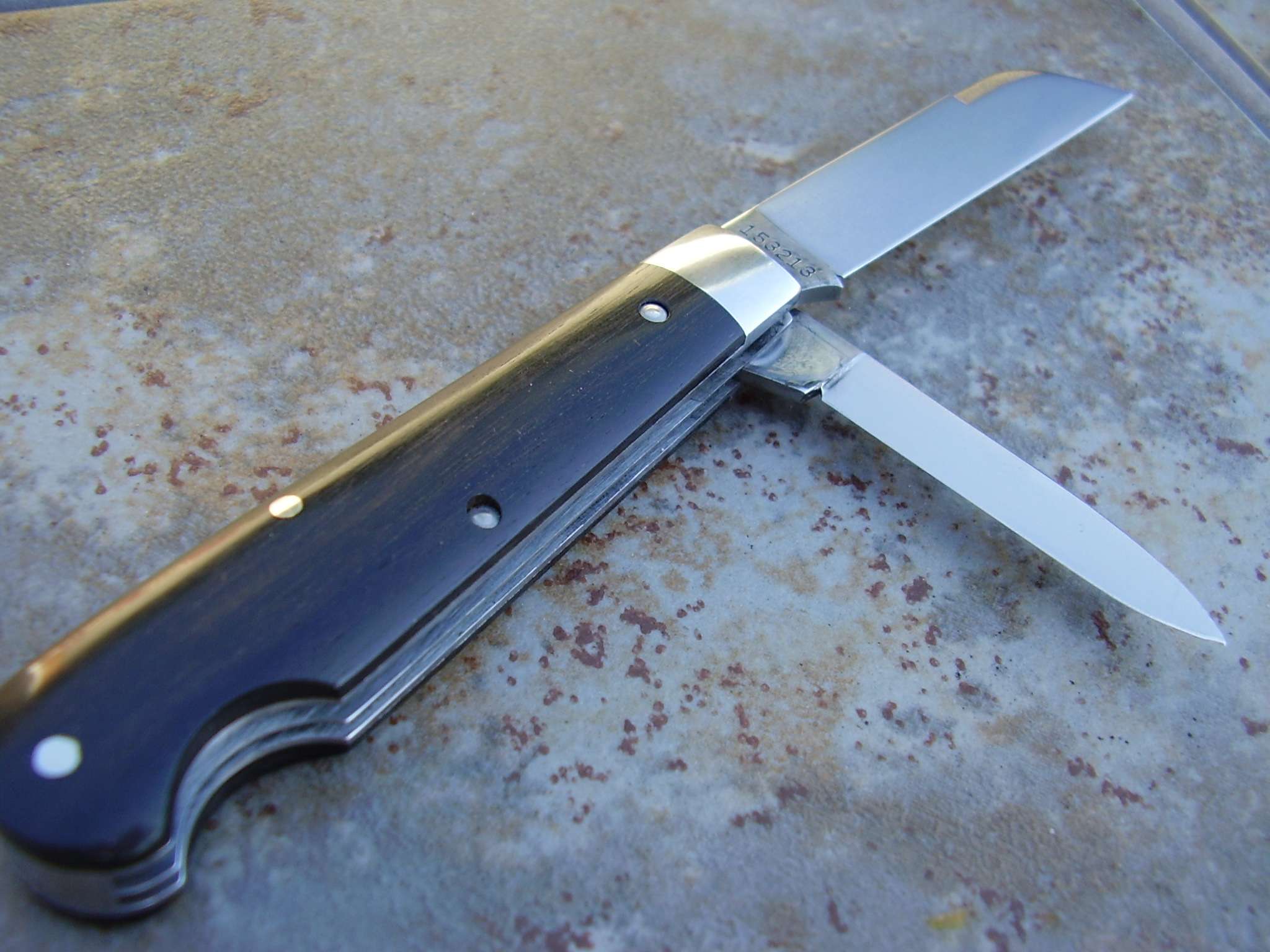 48tw.jpg