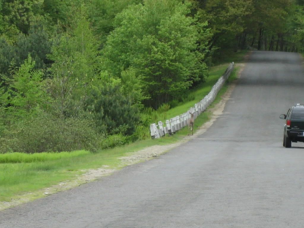 Picture103.jpg