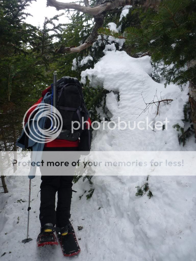 MtMadison033.jpg