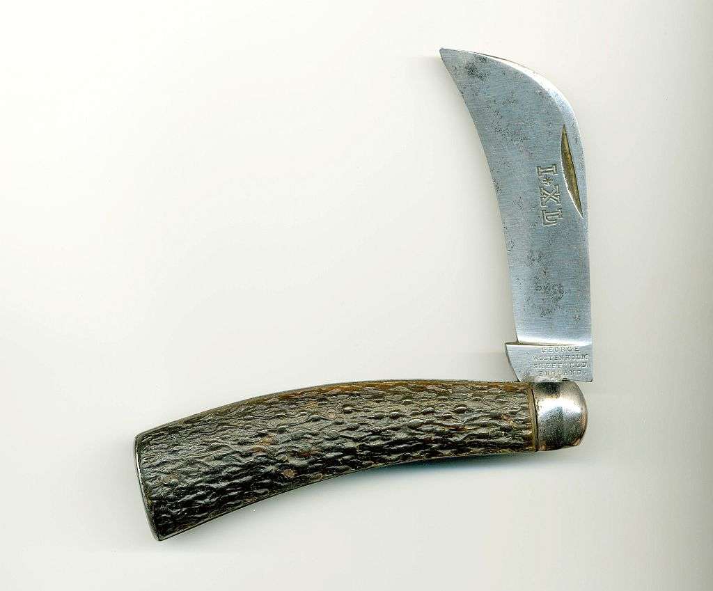 ixlhawkbillnp6.jpg