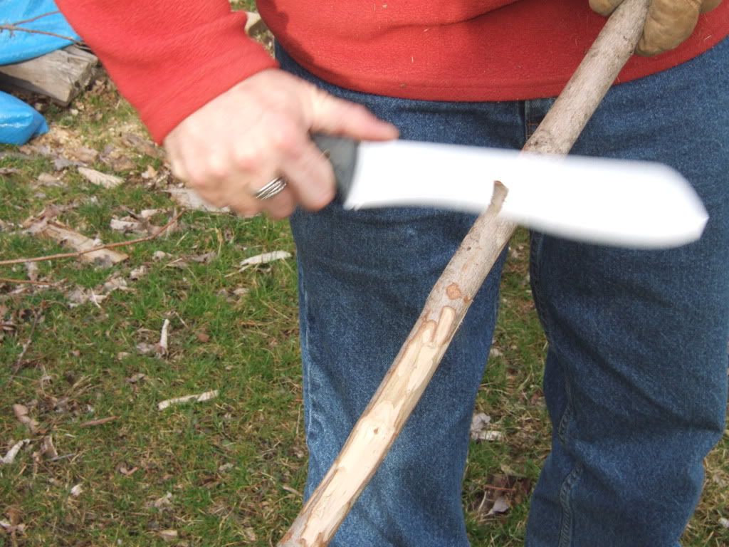 DSCF1054.jpg