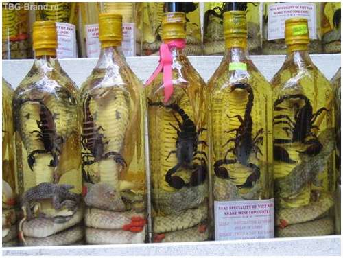 Snake_wine_drink_-_a_very_wild_and_weird_drink.jpg