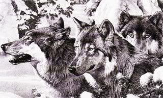 threewolved.jpg