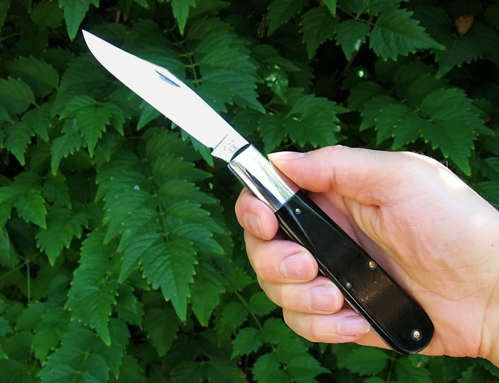 CaseXX6143004.jpg