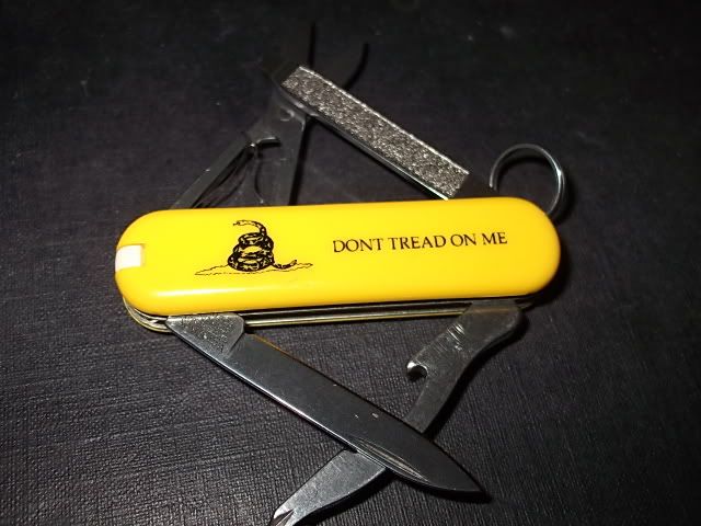 Gadsden_Rambler.jpg