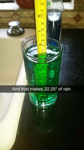 OZBMMj0l.jpg