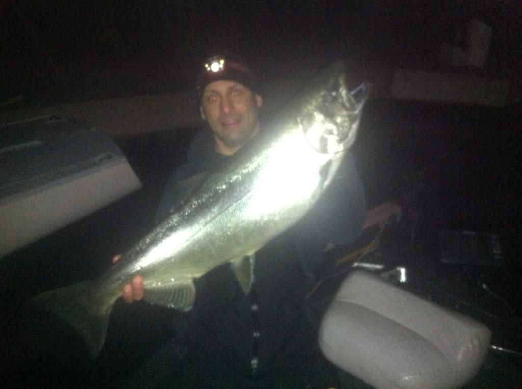 Fish_zpsb4616ae0.jpg