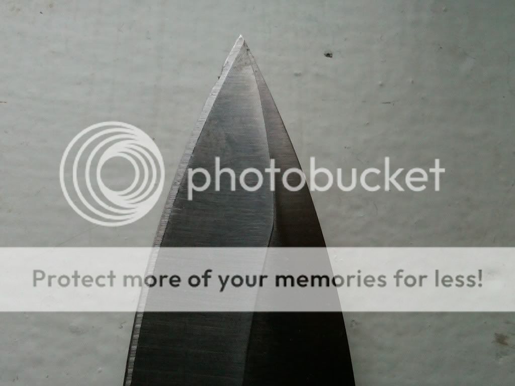 PM-IMG00040-20100721-1937.jpg