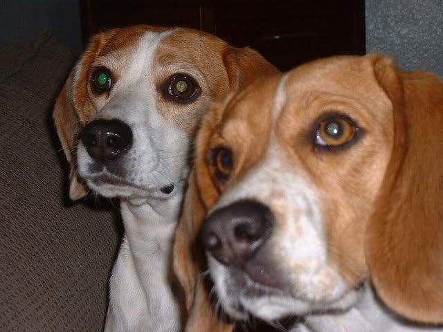 2003_0820_024508AA.jpg