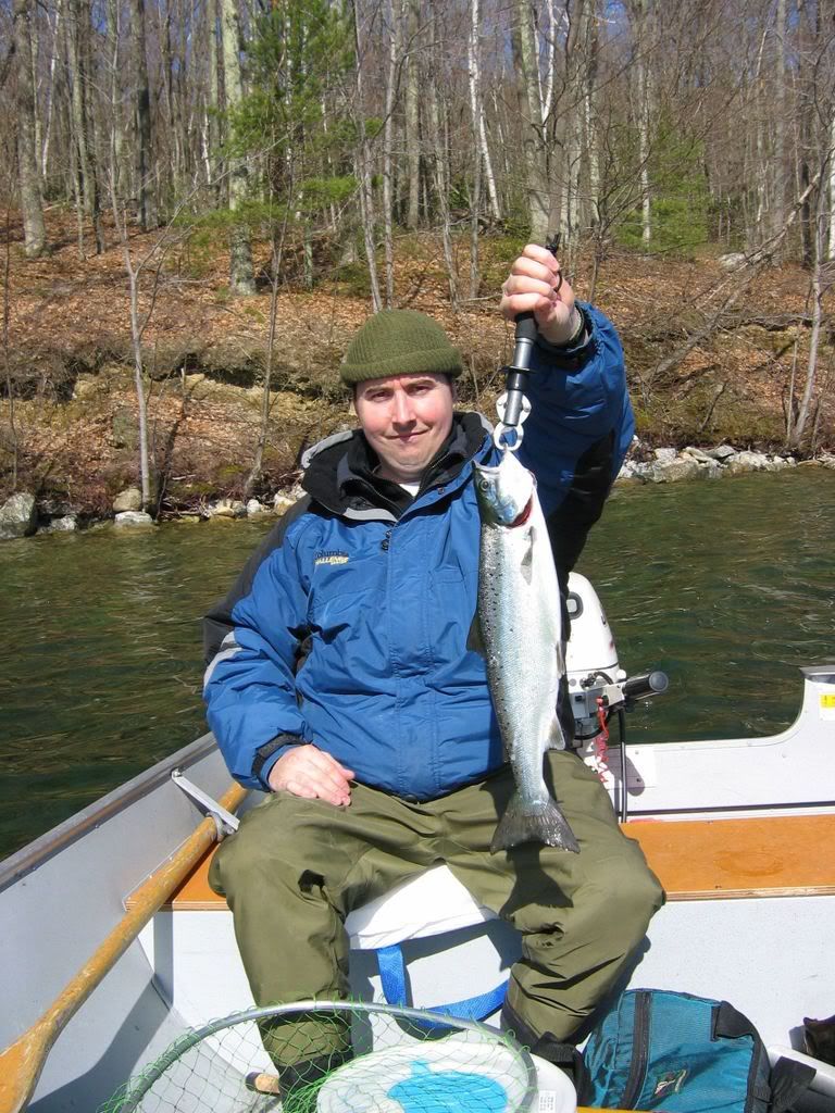 TomSalmon3.jpg